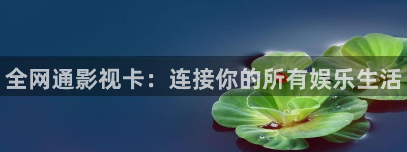 人人c人人s人人lu的视频在线观看：全网通影视卡：连接你的所有娱乐生活