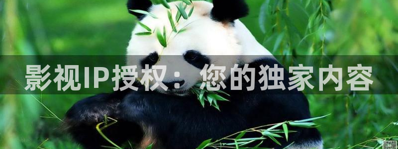 人人影院日韩最新