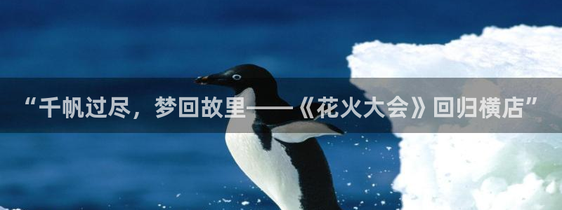 超碰人人添：“千帆过尽，梦回故里——《花火大会》回归横店”