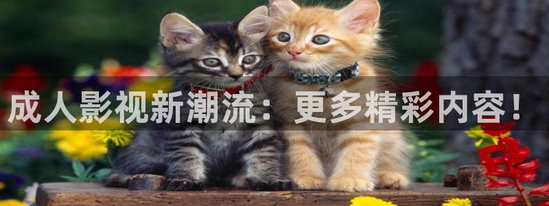 97视频人人干