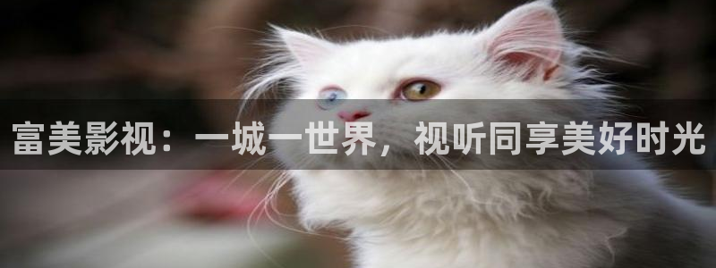 97久久超碰人人
