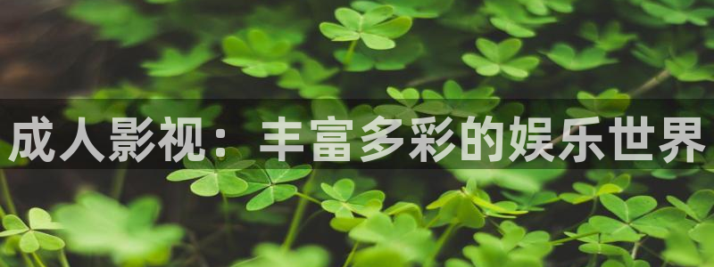 人人影音：成人影视：丰富多彩的娱乐世界