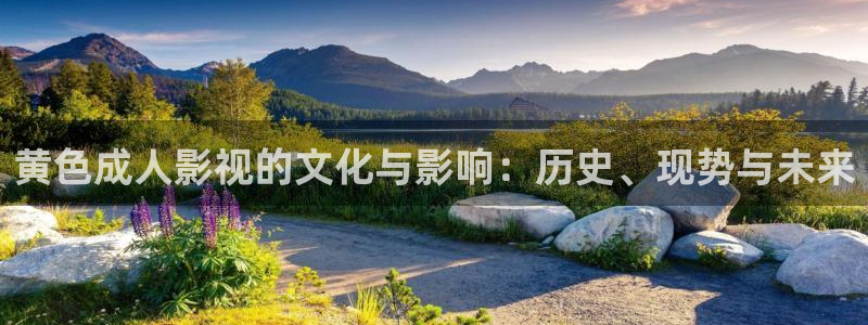 久久人人爽人人人人片：黄色成人影视的文化与影响：历史、现势与未来